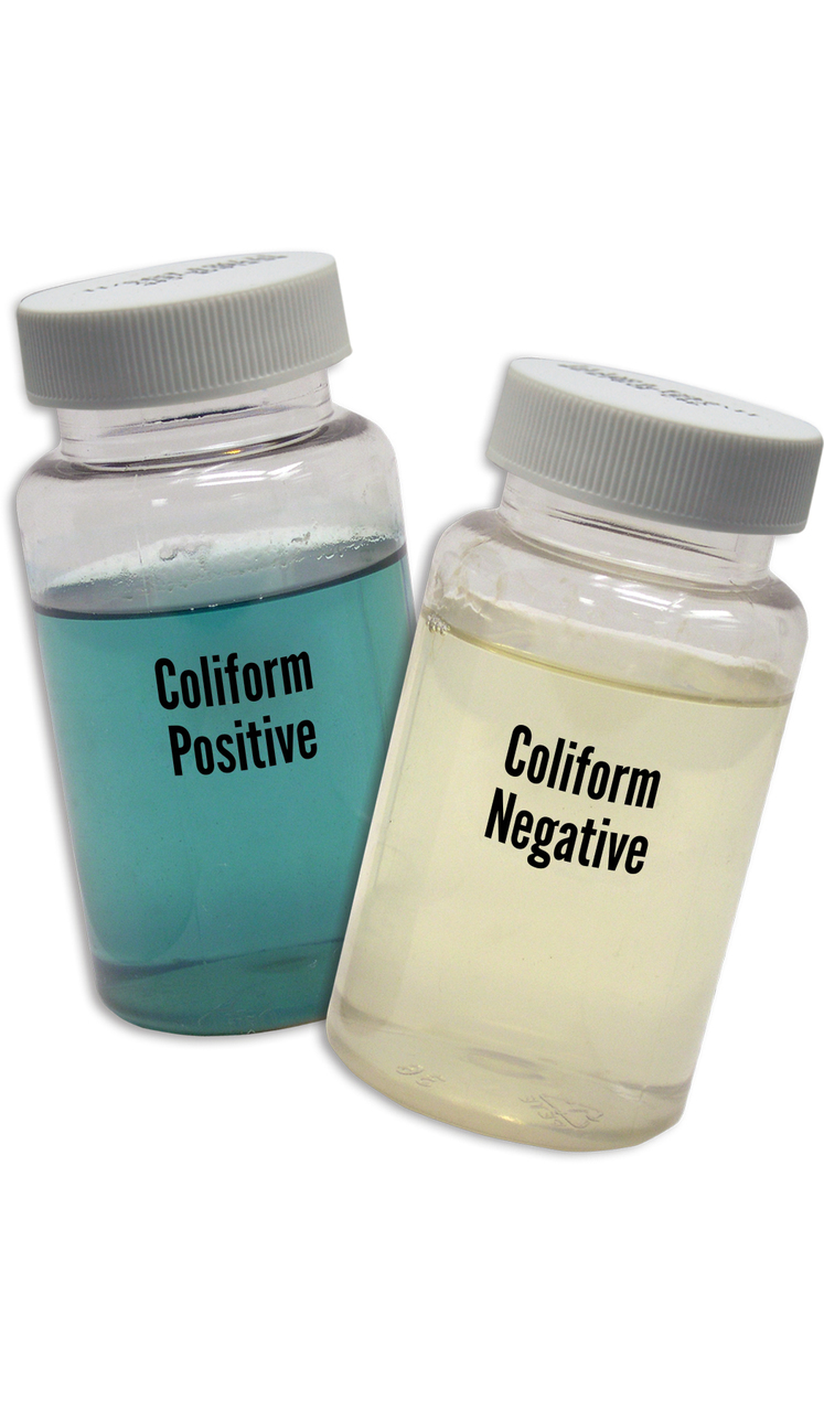 EZ Coliform Cult 박테리아 검사키트 Bacteria kit 1회측정