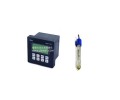 WSP-100-SG200C 설치형측정기 pH측정기,pH미터,DIK, Sensorex