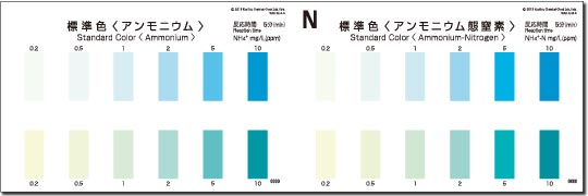 WAK-NH4-4 암모늄질소,암모늄 Ammonium-Nitrogen 팩테스트