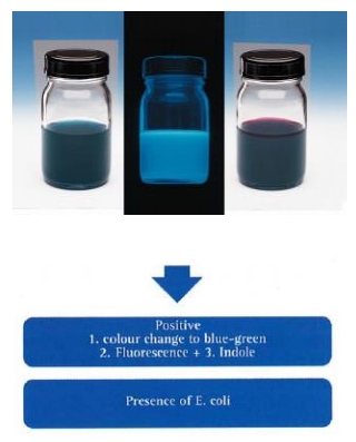 Readycult Coliform 총대장균용 간이 수질검사 키트 ﻿