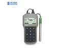 HI-98191 휴대용 pH 측정기,HANNA, pH/ORP/ISE 측정기, HI98191